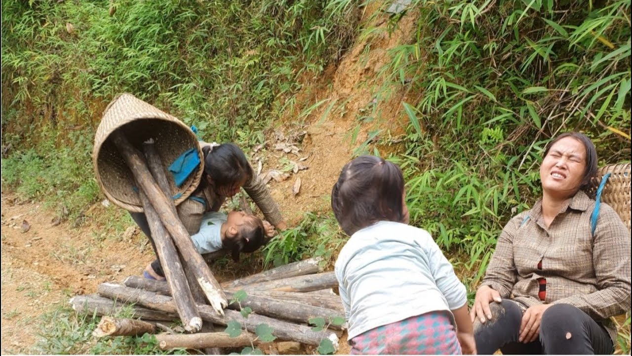 Harvest gourds to sell, chopping firewood, the life of a single mother ...