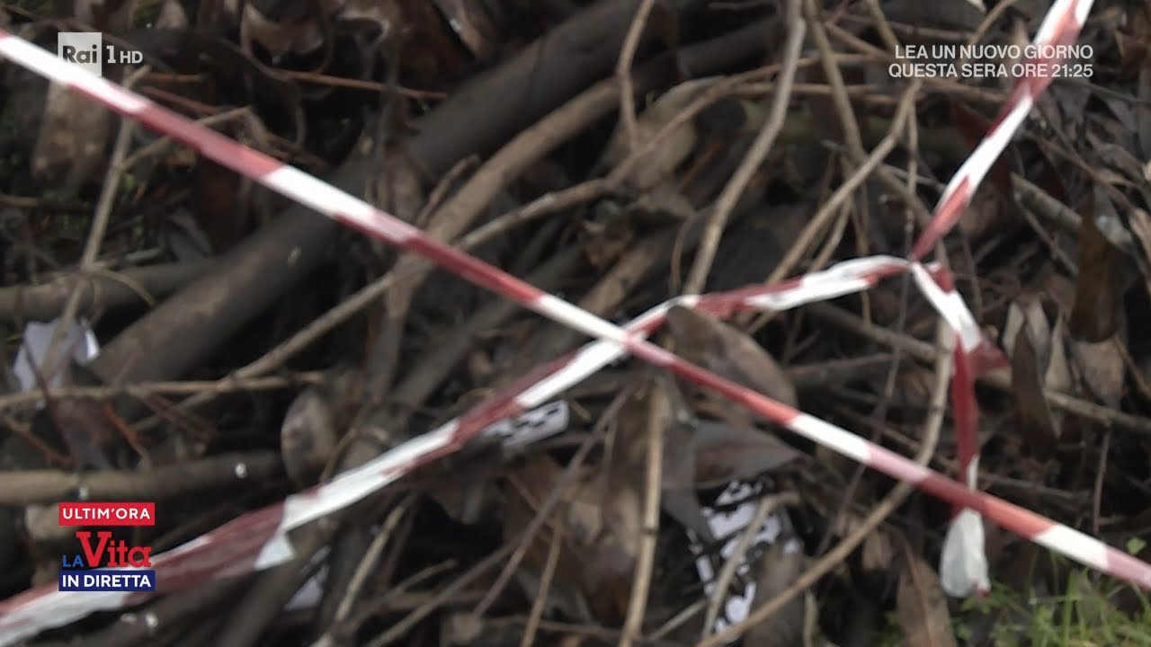Esami sulle foglie che copriva il corpo di Gigi Bici - La vita in diretta 08/02/2022