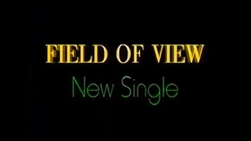 FIELD OF VIEW - DAN DAN 心魅かれてく (貴重PV＋CM)