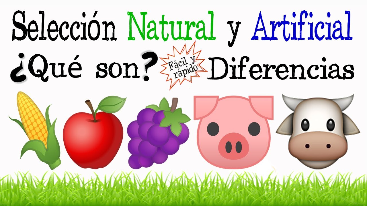 🌳Selección Natural Y Artificial🏭 [Fácil y Rápido] | BIOLOGÍA | - thptnganamst.edu.vn