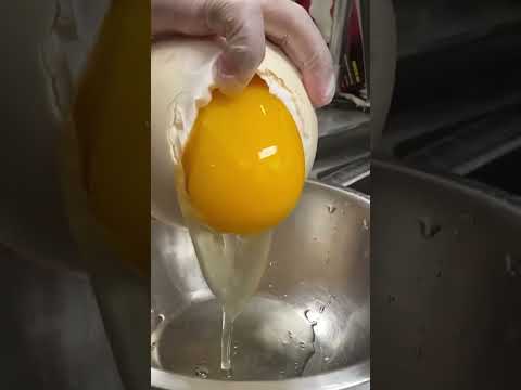 Cracking Open an Ostrich Egg | Food Network | #Shorts