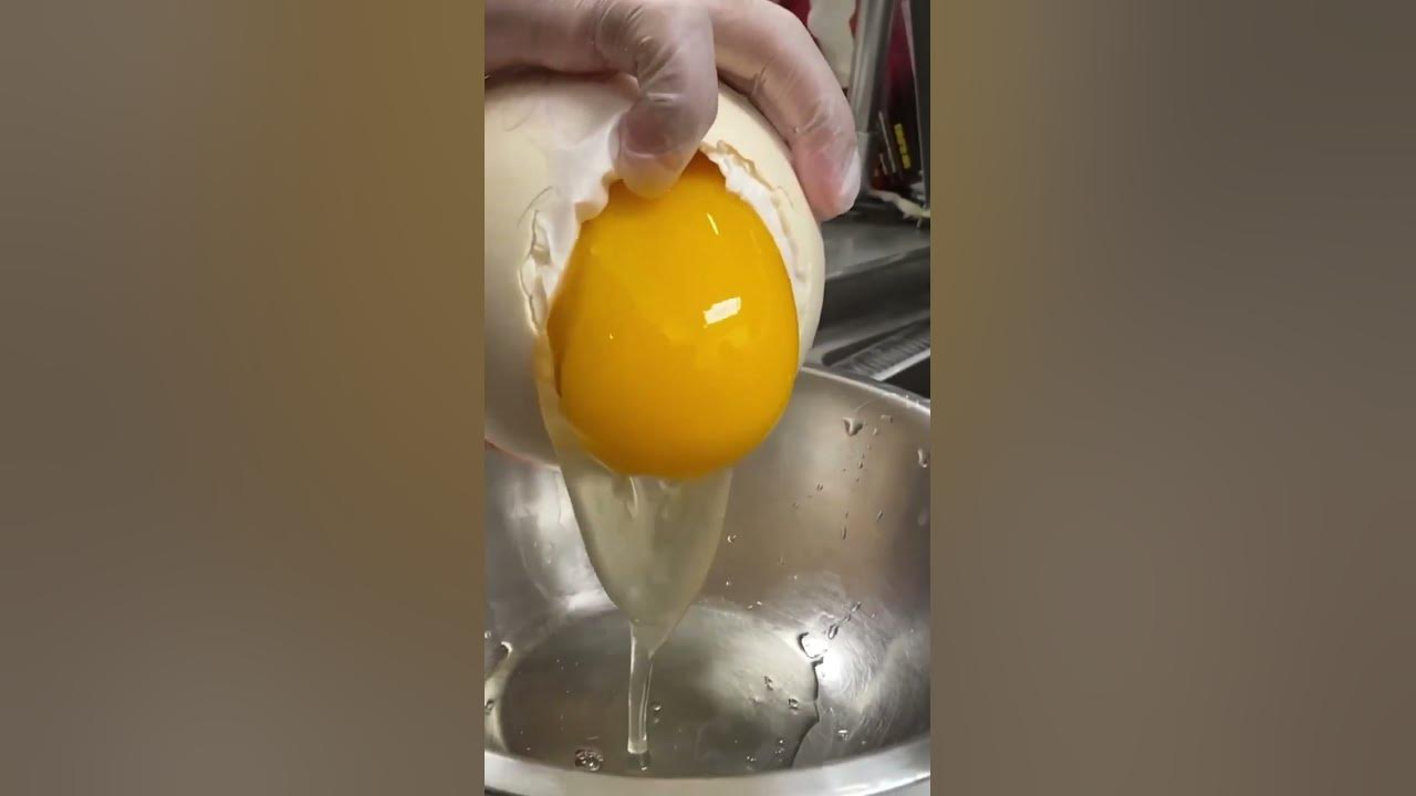 Ostrich Egg