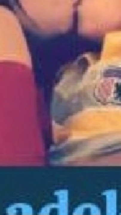 VIDEO VIRAL  Tante vs bocil | Hotel |