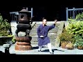 Wudang Xingyiquan - Master Yuan Li Min