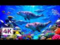 4K Deep Blue Journey - 🌊 Coral Reef Fish Tank  with Meditation Music  for Deep Sleep, Stress Relief