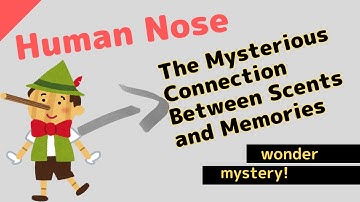 Human nasal memory: Uncovering the mysterious relationship between scent and memories!