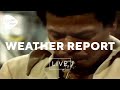 Weather Report - Black Market (Live at Montreux 1976)