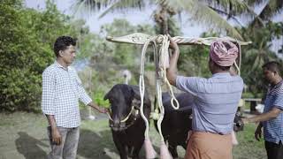 Iruvail Panila Teaser The Upbringing Of The Champion