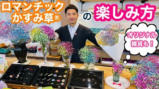 大人気！【ロマンチックかすみ草®︎】ドライフラワー、アクセサリーにも