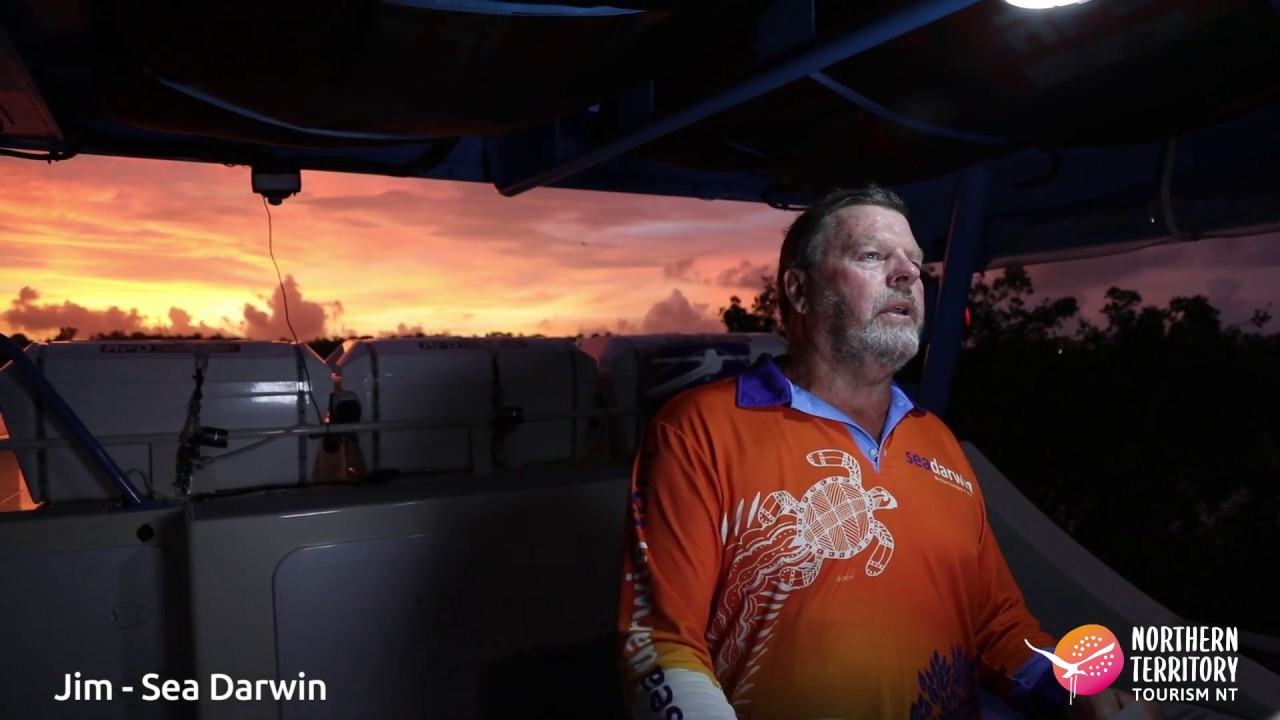 Open for Business - Sea Darwin