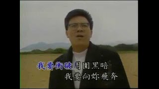 [庄学忠] 浪子的眼泪 -- 魅力金曲1 ( MV)