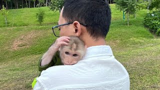 Cute monkey| Max out in fear when he first went outside.