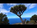 Best of La Palma - Top 8 places to visit