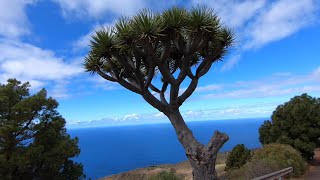 Best of La Palma - Top 8 places to visit