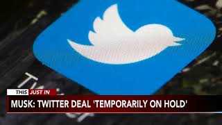 Elon Musk says Twitter deal 'temporarily on hold'