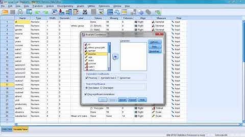 SPSS 24 Tutorial 9: Correlation between two variables