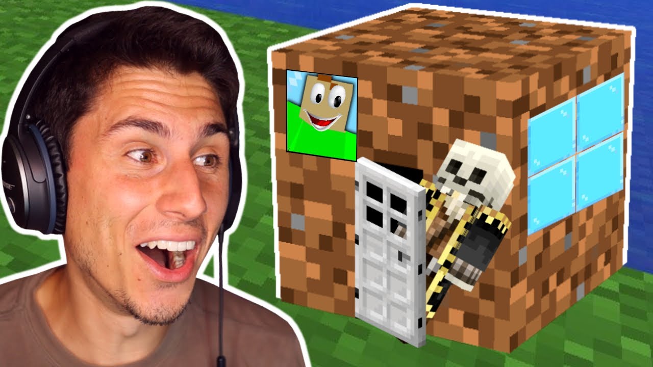 We Made A Minecraft Base INSIDE A DIRT BLOCK!