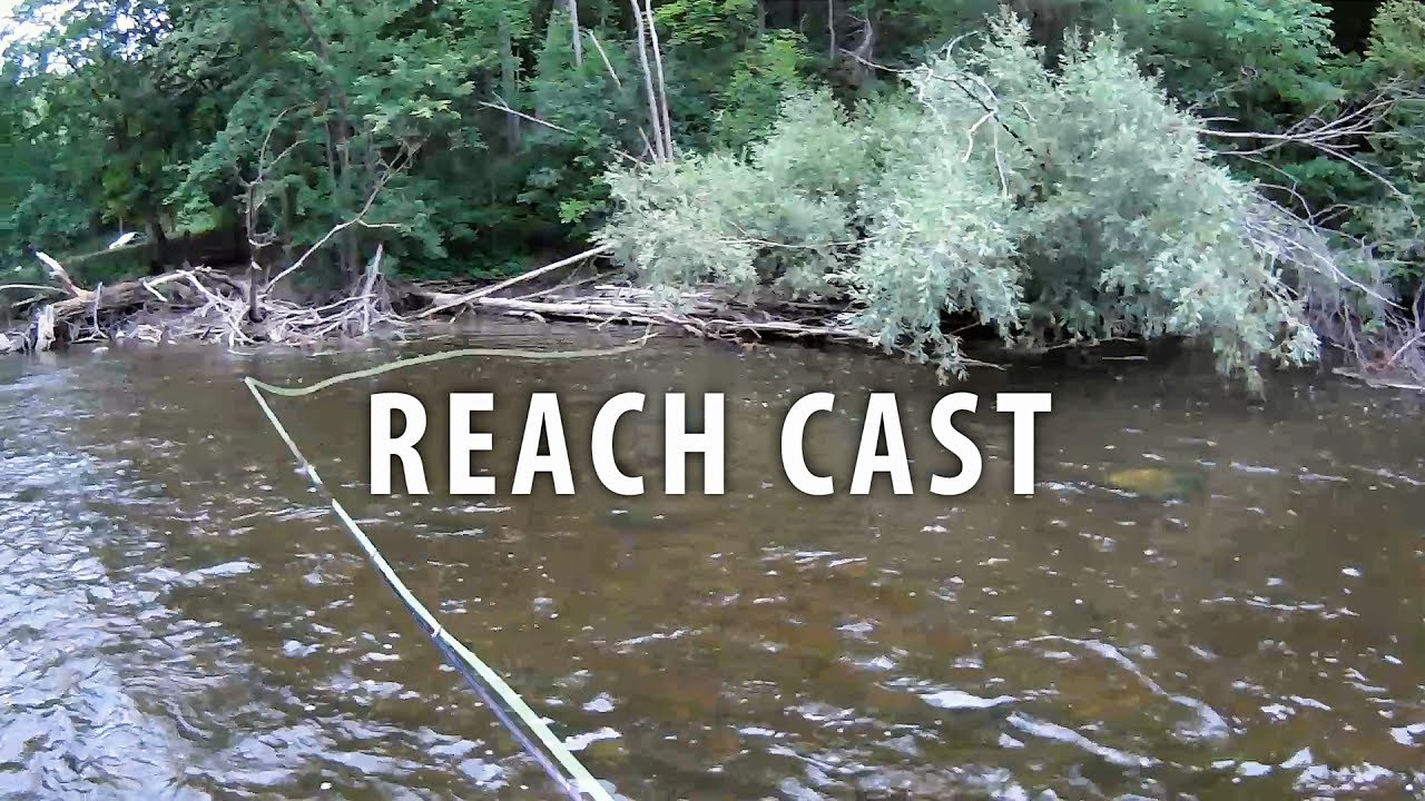 Fly Casting Reach Cast (with smallmouth taking a mulberry fly) YouTube