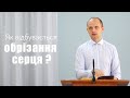 Як відбувається обрізання серця? - Тарас Данило