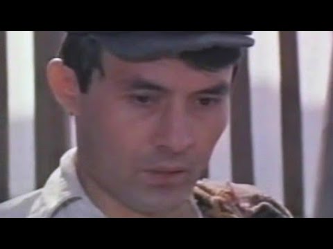 ВОЛЧЬЯ ЯМА (1 - 2 серии) детектив СССР