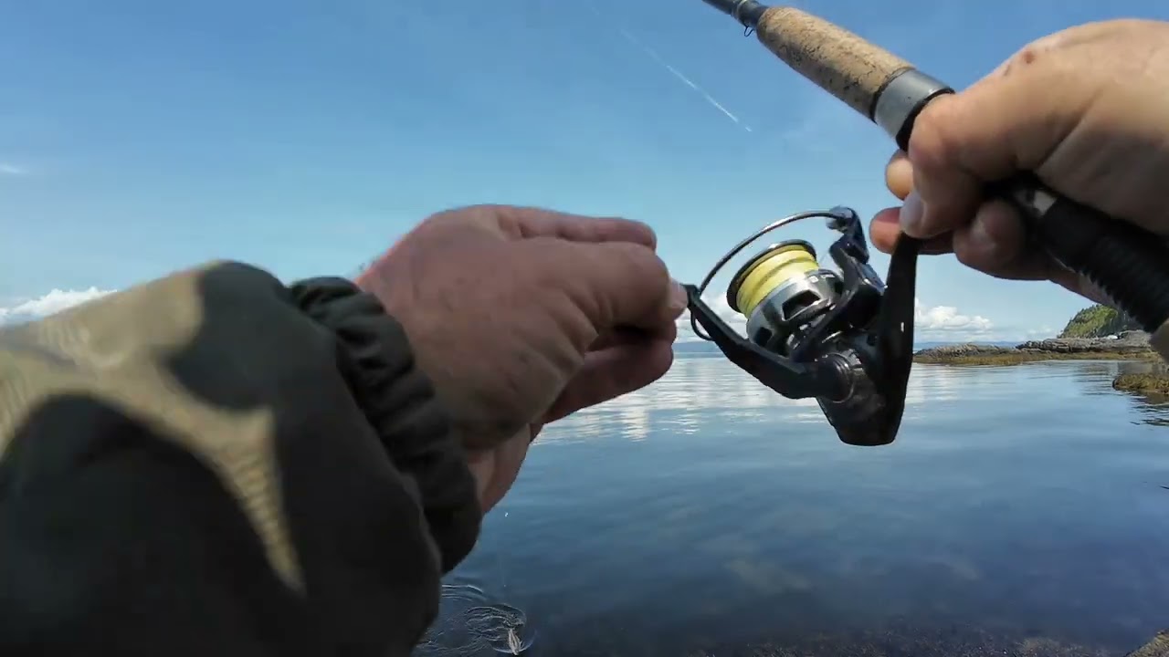 Užu jūrų  marių.