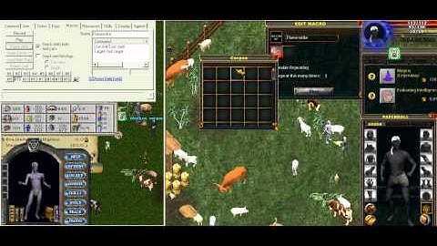Casting in UO is faster in the Enhanced client (F.Strike)