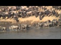 THE GREAT MIGRATION Serengeti - Mara.mp4