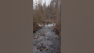 سورة النور اية 35  ,  ماهر المعيقلي              مثل نوره كمشكاة فيها مصباح...