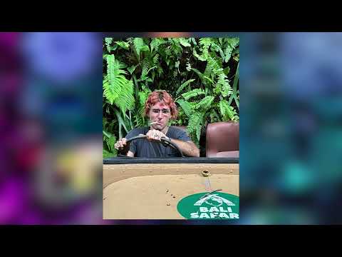 LOVV66 - НОМЕР БРАТА (Без мата)