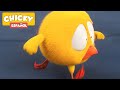 ¿Dónde está Chicky? 2 | CHICKY LLEGA TARDE | Dibujos Animados Para Niños
