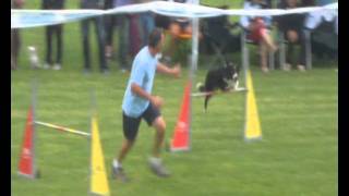 Gara Agility dog Ronzo Chienis 2011 by Jessica24 1,395 views 12 years ago 6 minutes, 42 seconds