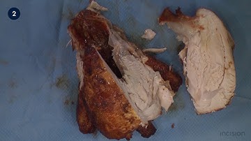 Turkey film INCISION Academy