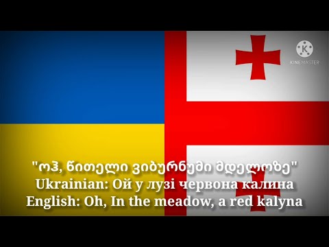 ოჰ, წითელი ვიბურნუმი მდელოზე - Ой у лузі червона калина (Georgian Version \u0026 English Translation)