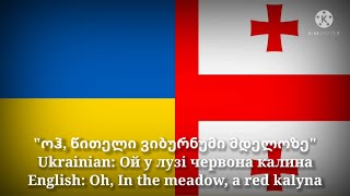 ოჰ, წითელი ვიბურნუმი მდელოზე - Ой у лузі червона калина (Georgian Version & English Translation)