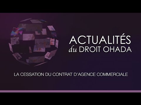 Vidéo: Comment Conclure Un Contrat D'agence