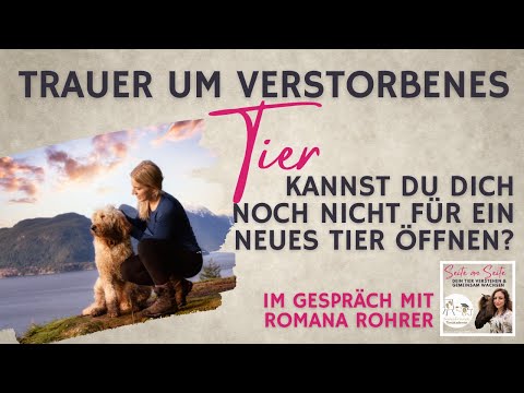 Video: 23 herrliche Geschenke für Leute, die mit ihrem Goldendoodle besessen sind