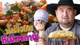 หม่อมถนัดแดก | น้ำผึ้งขม ที่เมืองกาญ | น้ำผึ้งหวานๆยังขมได้ คิดดู!!