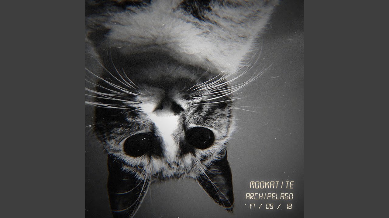 Obejrzyj Phoenix w YouTube Obejrzyj Phoenix w YouTube