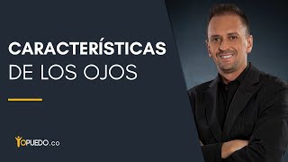 Características de los ojos