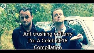 Ant and Dec  Ant crushing on Larry // Compilation