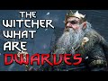 What are dwarves  witcher lore  witcher 3 lore  witcher mythology