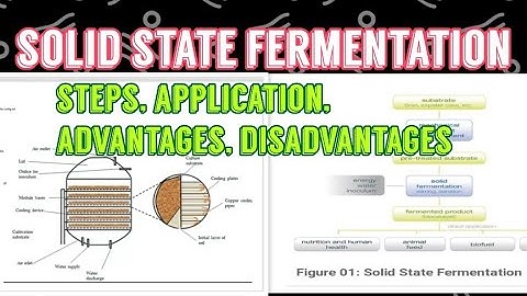 Solid State Fermentation (SSF) ||Application, steps, advantages, disadvantages😎😎