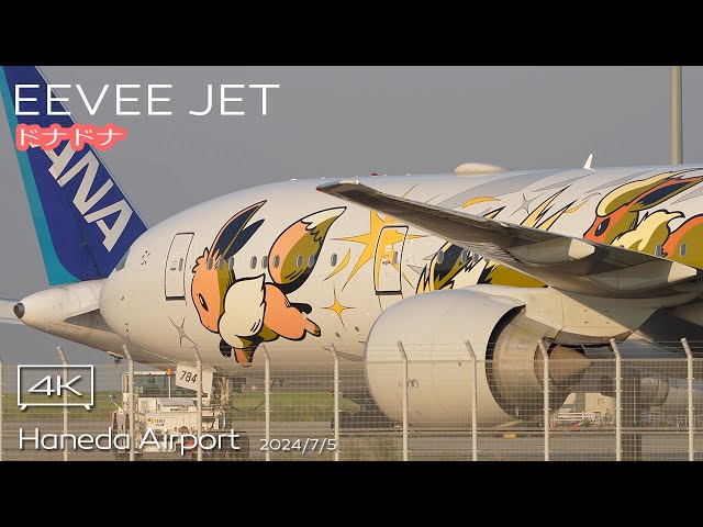 EEVEE JET ＆ たくあん】ANA B777-300ER (JA784A) Pokemon EEVEE