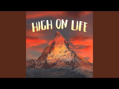 High On Life Originally Performed By Martin Garrix And Bonn Instrumental