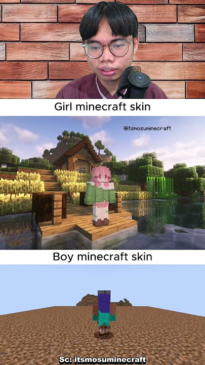 Skin MInecraft Cewek VS Cowok