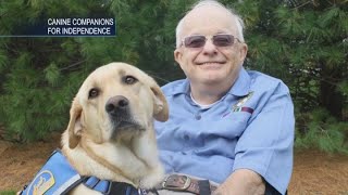 How service dogs help veterans cope with stress