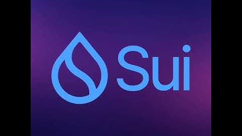 MoveVM vs EVM: The Future of Smart Contracts?