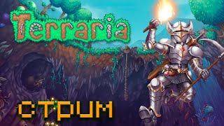 изгоняем сатанистов из нашего мира ведь у нас православие в Terraria за призывателя#15