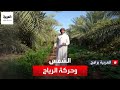 كيف تؤثر الشمس على حركة الرياح اليومية والموسمية كيف تؤثر الشمس على حركة الرياح اليومية والموسمية