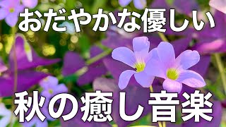 【癒しBGM】心が落ち着く優しいリラックス音楽、自律神経を整え不安やストレス解消のためのヒーリングミュージック/睡眠用・作業用・勉強用BGM